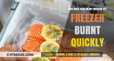 Prevent Freezer Burn: Tips to Keep Frozen Food Fresher Longer