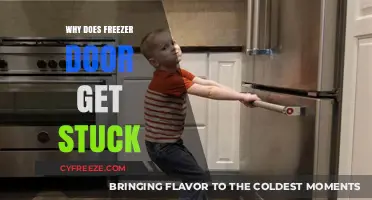 Why Freezer Doors Get Stuck: Common Causes and Quick Fixes