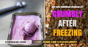 Why Homemade Ice Cream Crumbles: Freezing Secrets Unveiled
