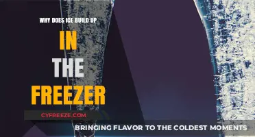 Chill Factors: Understanding Ice Buildup in Your Freezer