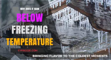 Freezing Rain Explained: How Precipitation Falls Below 32°F