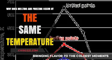 Melting and Freezing: The Science Behind Their Shared Temperature Point