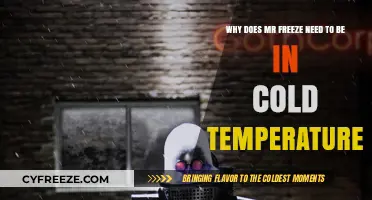 Why Mr. Freeze Relies on Cold Temperatures for Survival