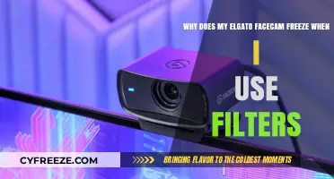 Why Elgato Facecam Freezes with Filters: Troubleshooting Tips