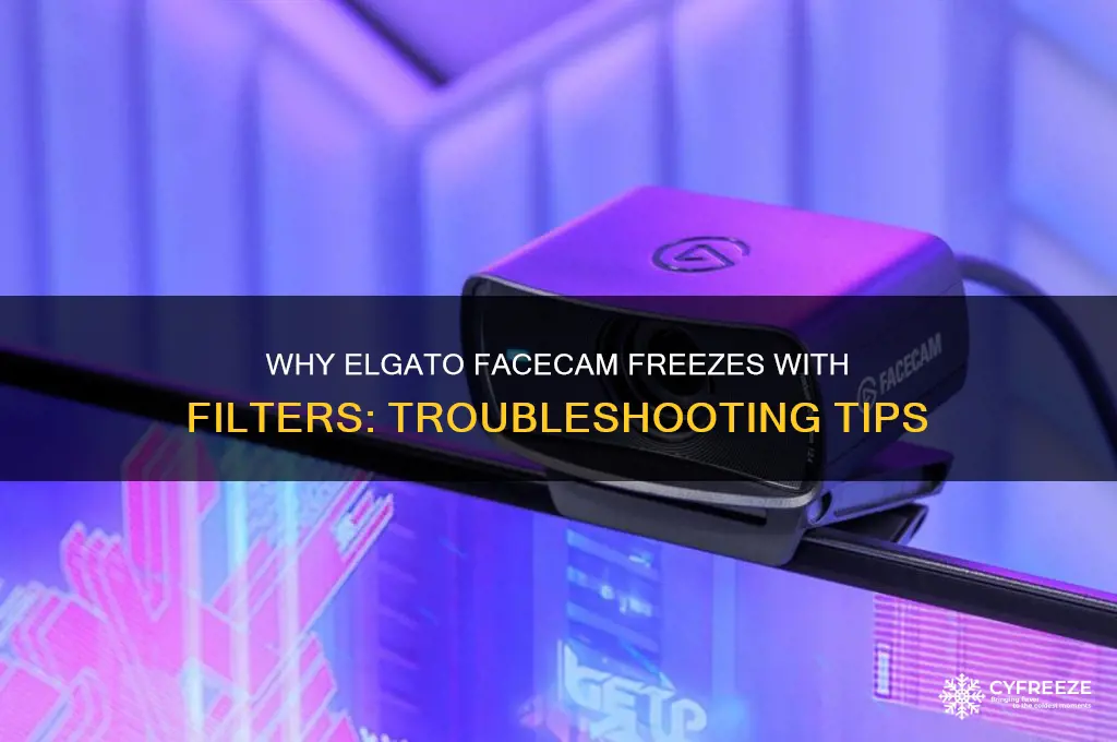 why does my elgato facecam freeze when i use filters