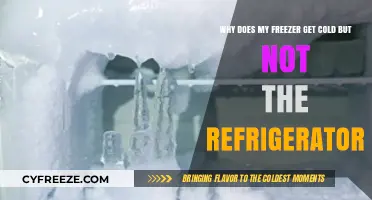 Why Your Freezer Works but Your Fridge Isn't Cooling Properly