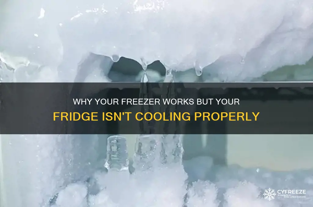 why does my freezer get cold but not the refrigerator