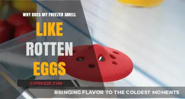 Why Does My Freezer Smell Like Rotten Eggs?
