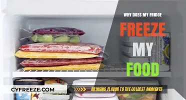 Chill Out: Understanding Why Your Fridge Freezes Your Food