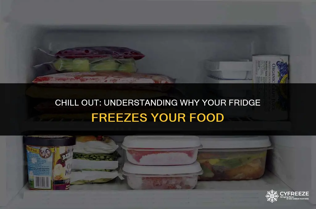 why does my fridge freeze my food