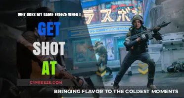 Game Freeze When Shot: Causes and Fixes for Smooth Gameplay