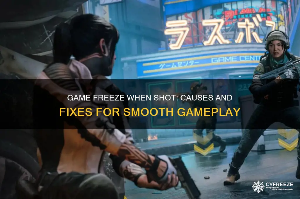 why does my game freeze when i get shot at