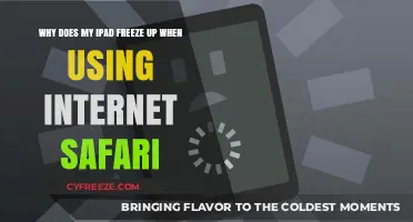 Why Does My iPad Freeze in Safari? Troubleshooting Tips