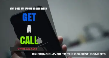 iPhone Freezes on Incoming Calls? Troubleshooting Tips and Fixes