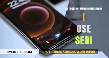 Why Your iPhone Freezes When Using Siri: Causes and Fixes