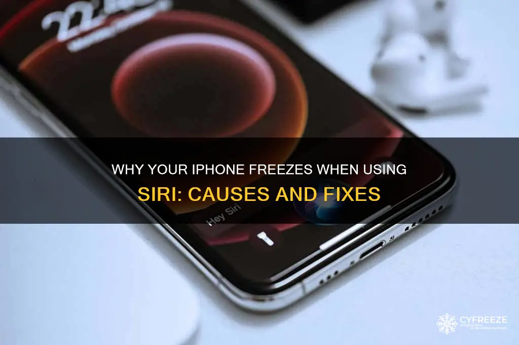 why does my iphone freeze when i use seri