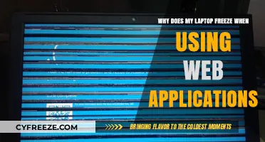 Why Does My Laptop Freeze When Using Web Applications?