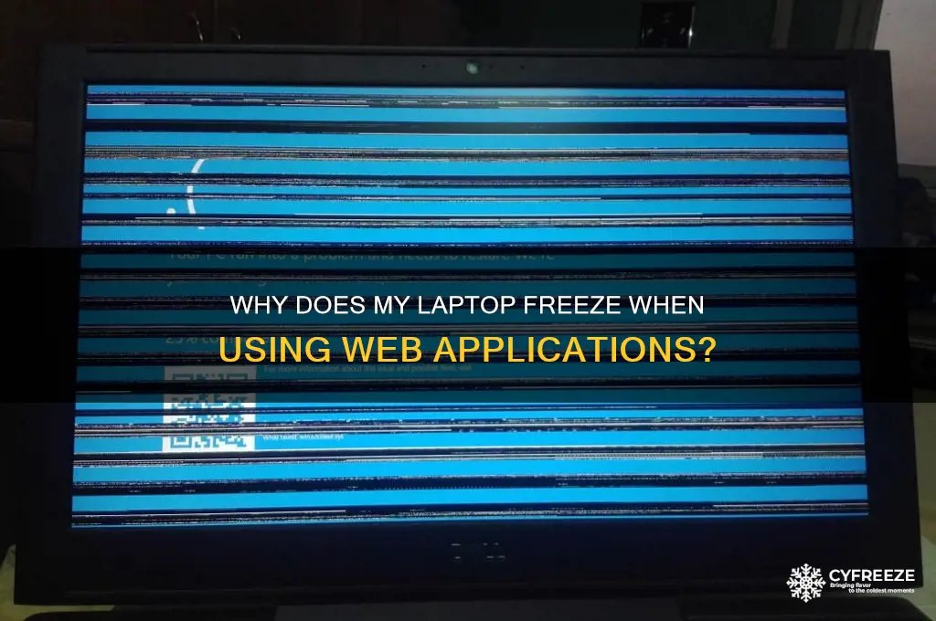 why does my laptop freeze when using web applications