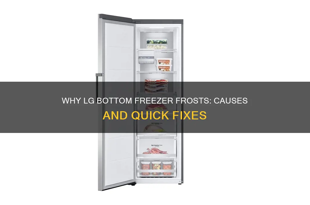 why does my lg bottom freezer get so much frost