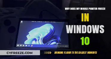 Why Does My Mouse Pointer Freeze in Windows 10? Troubleshooting Tips