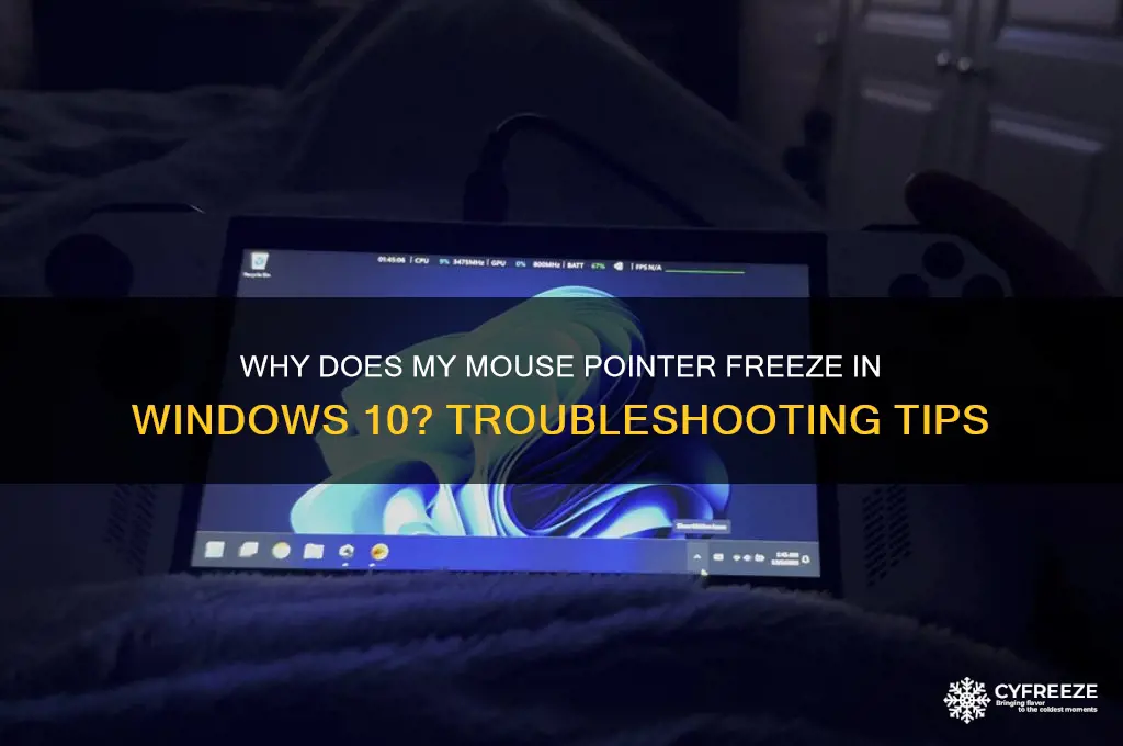 why does my mouse pointer freeze in windows 10