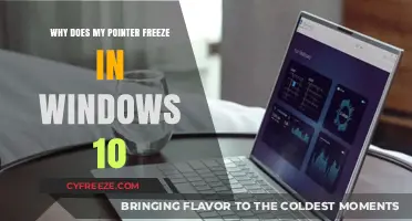 Why Does My Pointer Freeze in Windows 10? Troubleshooting Tips