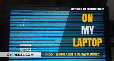 Why Does My Pointer Freeze on My Laptop? Troubleshooting Tips