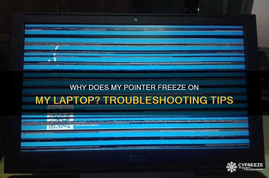why does my pointer freeze on my laptop