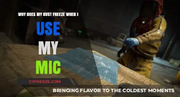 Why Rust Freezes When Using Your Mic: Troubleshooting Guide