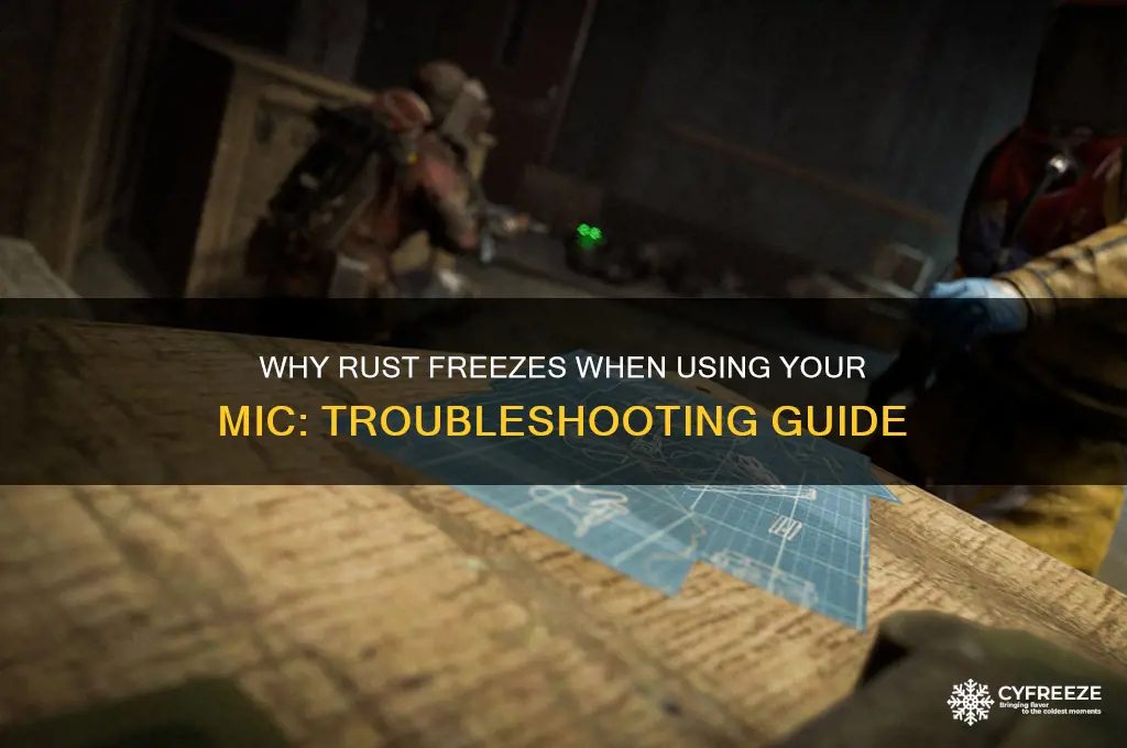 why does my rust freeze when i use my mic