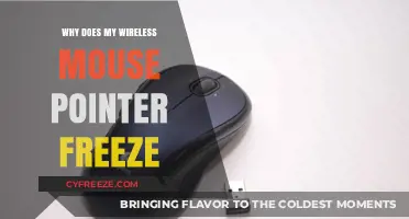 Why Does My Wireless Mouse Pointer Freeze? Troubleshooting Tips