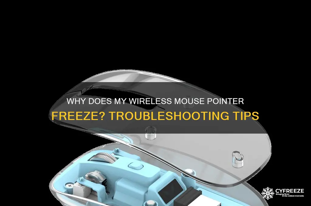 why does my wireless mouse pointer freeze
