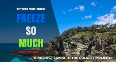 Why Point Lookout Experiences Frequent Freezing: Unraveling the Chilly Mystery