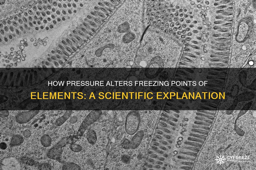 why does pressure change the freezing point of elements