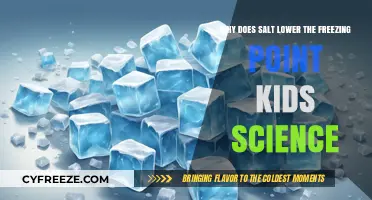 Salt's Chilling Effect: How It Lowers Freezing Point for Kids