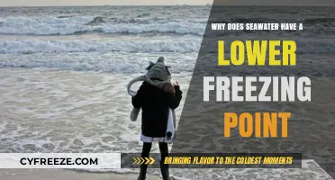 Why Seawater Freezes Later: Exploring Its Lower Freezing Point