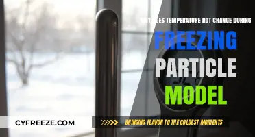 Understanding Why Temperature Stays Constant During Freezing in Particle Models