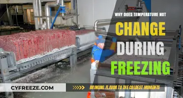 Why Temperature Stays Constant During the Freezing Process Explained