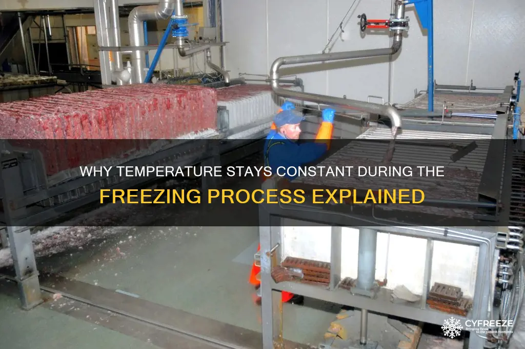 why does temperature not change during freezing