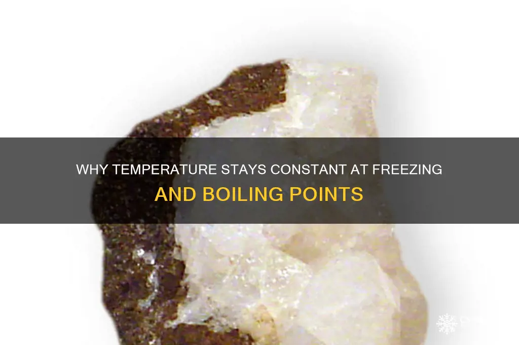 why does temperature remian constant at freezing and boiling points
