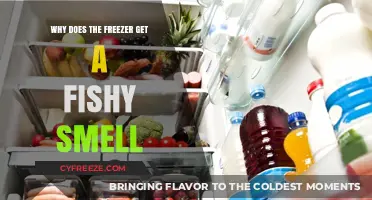 Why Your Freezer Smells Fishy: Causes and Quick Fixes