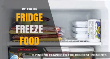 Chill Out: Understanding Why Your Fridge Freezes Food