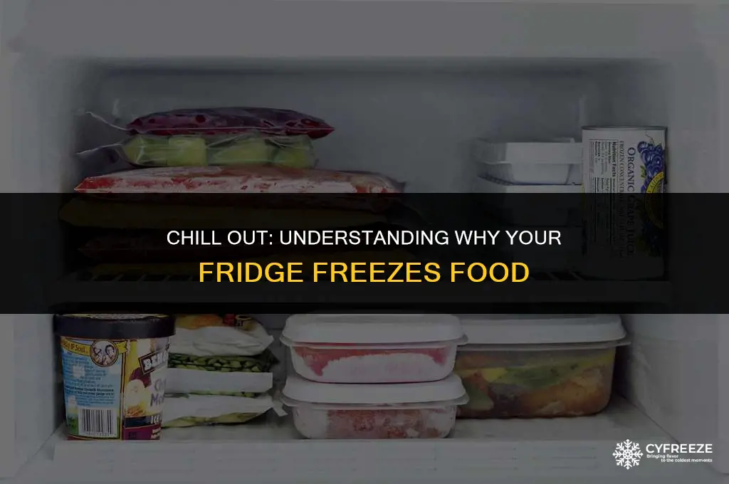 why does the fridge freeze food