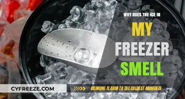 Unraveling the Mystery: Why Does My Freezer Ice Smell?