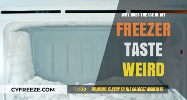 Unraveling the Mystery: Why Does My Freezer Ice Taste Odd?
