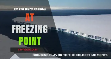 Why the Pacific Ocean Freezes at 0°C: Science Explained