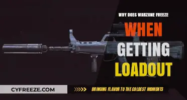 Why Warzone Freezes When Getting Loadout: Causes and Fixes