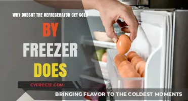 Why Your Fridge Stays Warm While the Freezer Gets Cold