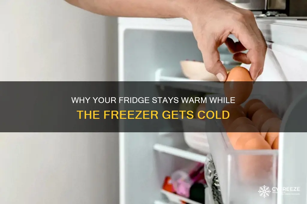 why doesnt the refregerator get cold by freezer does