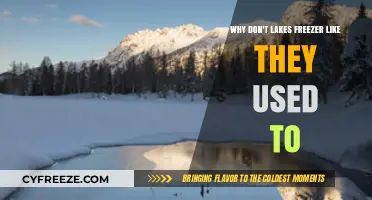 Vanishing Ice: Why Lakes Freeze Less in a Warming World